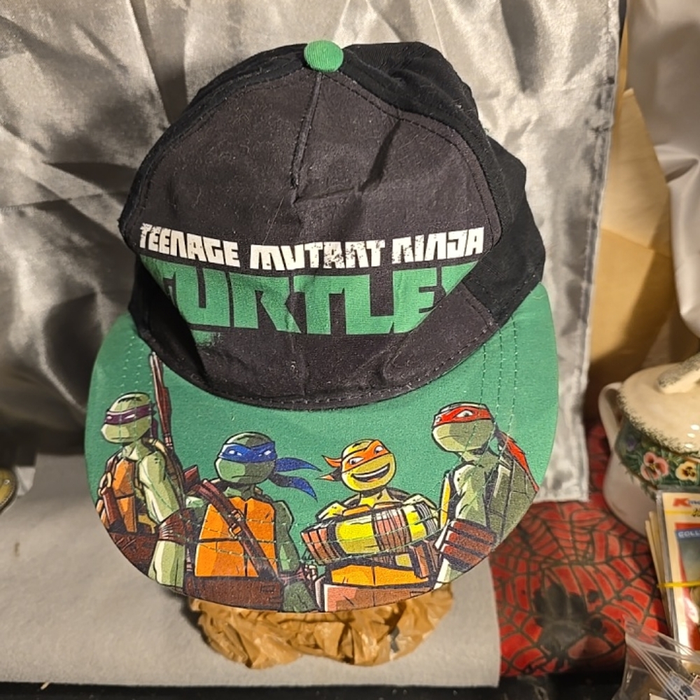 042225 Teenage Mutant Ninja Turtles Classic nickelodeon adjustable Hat box 22a